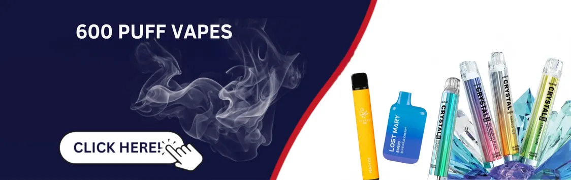 600 PUFFS VAPES
