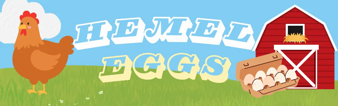 Hemel Eggs