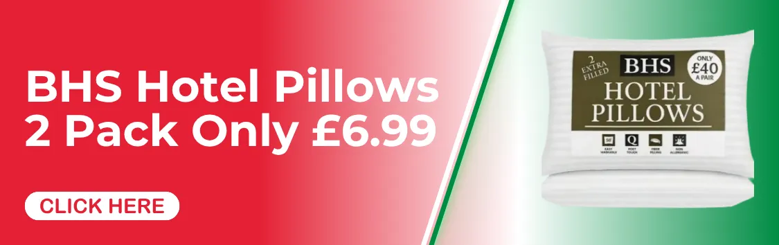 2 Hotel Pillows Only £7.99