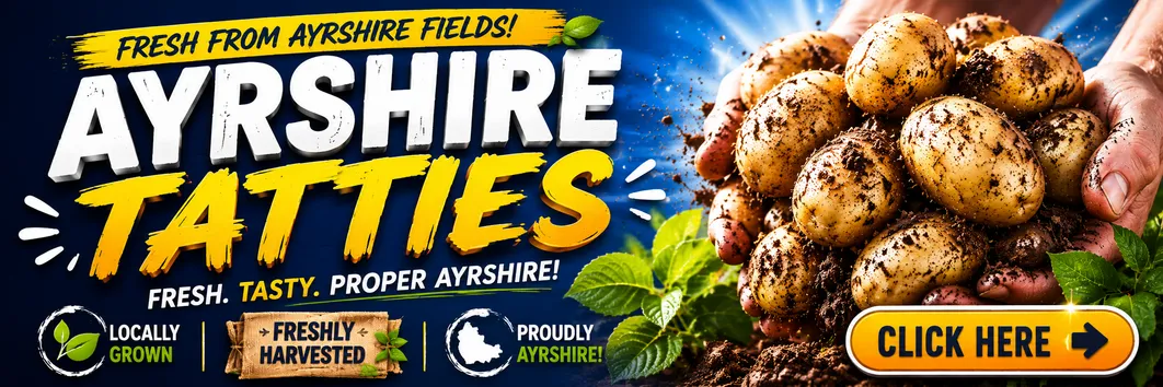 Ayrshire Tatties