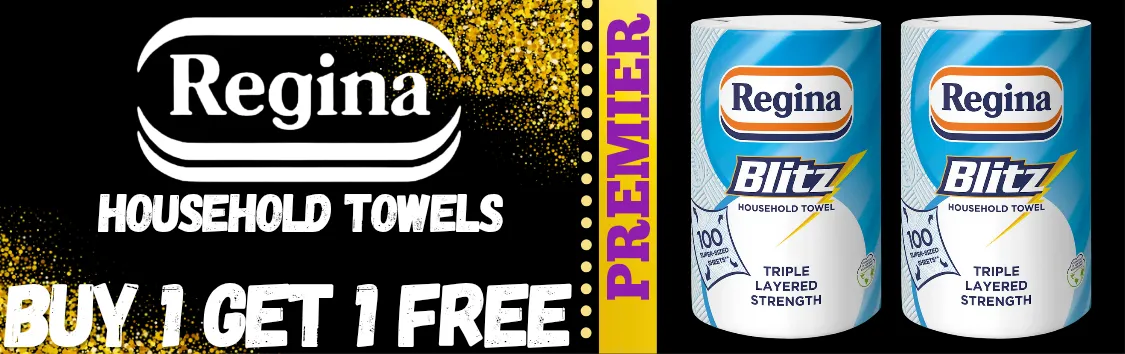 Regina Blitz Household Towels 100 Sheets