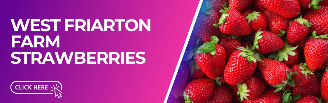 West Friarton Farm Strawberry