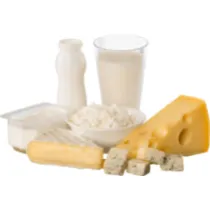 Dairy category