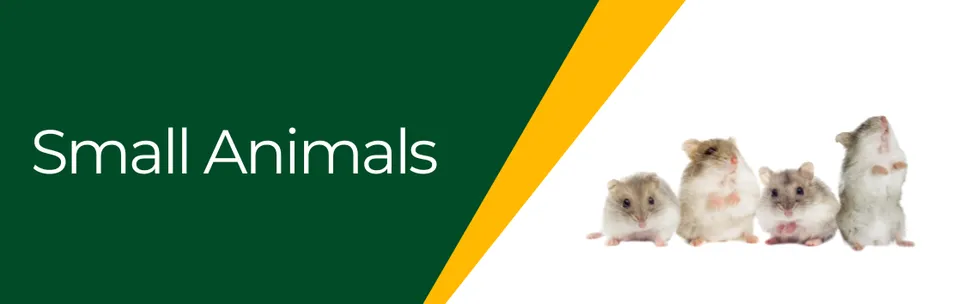 Small Animals