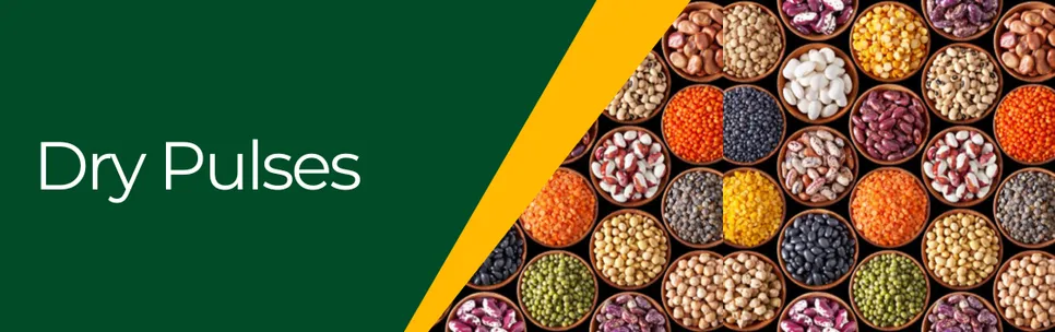 Dry Pulses