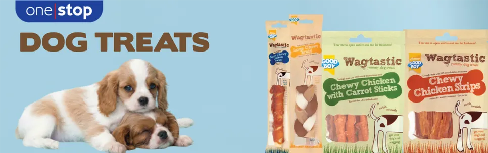  DOG TREATS