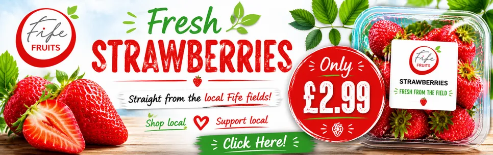 LOCAL STRAWBERIES