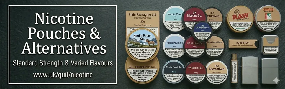 Nicotine pouches and alternative 