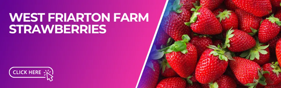 WEST FRIARTON FARM STRAWBERRY'S