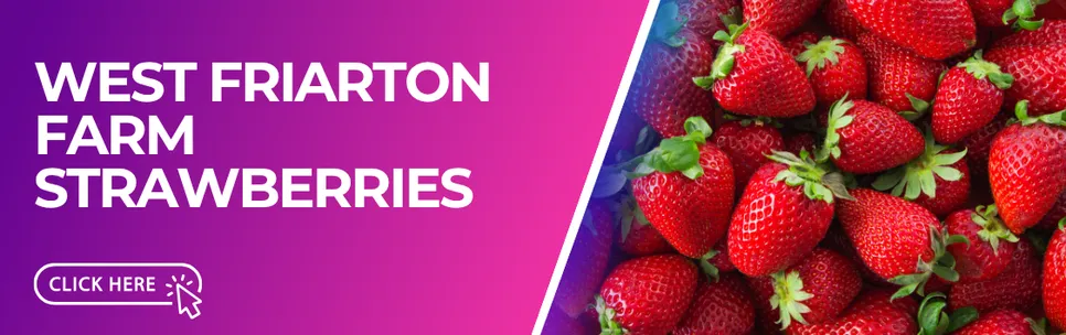 West Friarton Farm Strawberry