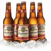 bottles category
