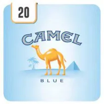 Camel category