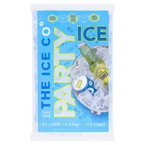 Ice category