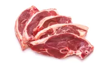 Lamb category