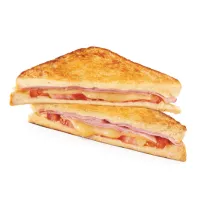 Toasties category