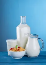 MILK / NON DAIRY MILK / CREAM category