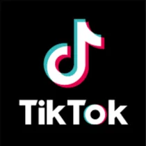 As Seen On Tiktok category