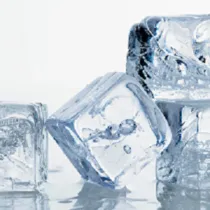 Ice category