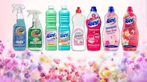 SPANISH CLEANING PRODUCTS category