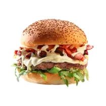 Burgers category
