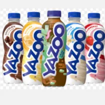 Yazoo category