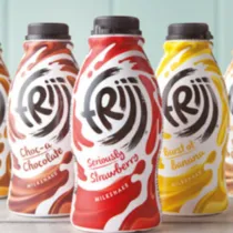 Frijj category