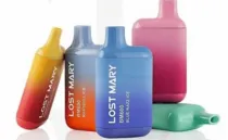 Lost mary 600 puffs category