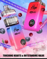 Higo BB4000 Vapes & Refill Pod  category