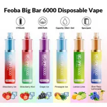 Feoba Pro 6000 Puff prefilled category