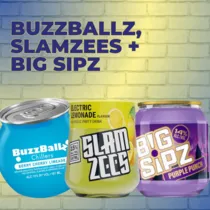 Buzzballz, Slamzees and Big Sipz category
