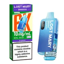 Lost Mary BM6000 category