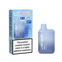 Lost Mary BM600 category