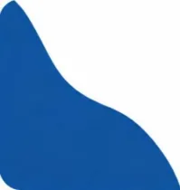 New Products category