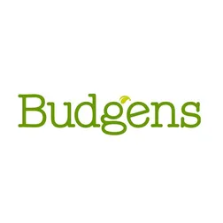 Budgens Crich