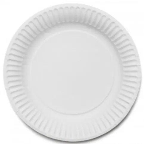 Paper Plates 12 Pack