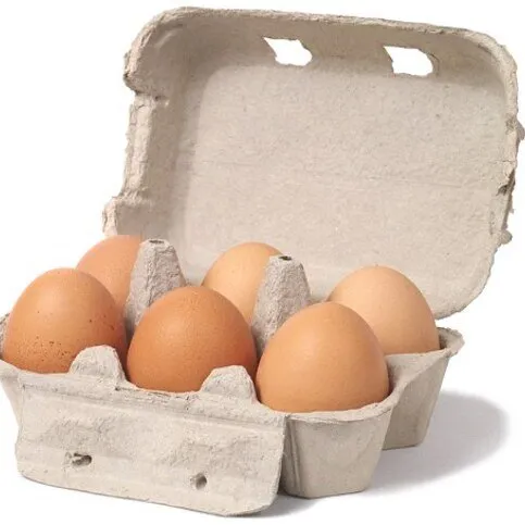 Eggs 6-PK