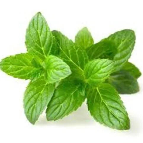 Co-op Mint 25g