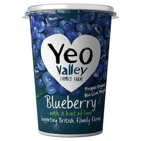 Yeo Valley Blueberry Yog 450g