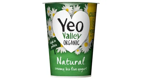 Yeo Valley Organic Natural Yogurt 450g