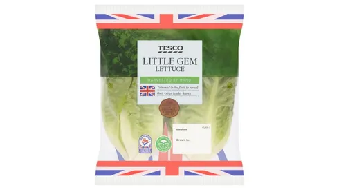 Tesco Little Gem Lettuce 2 pack