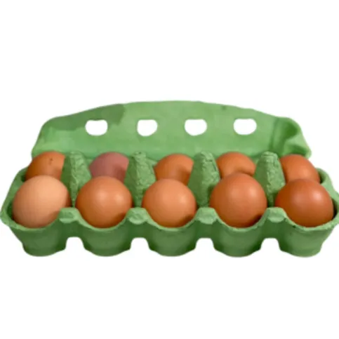 10-PACK MEDIUM EGGS