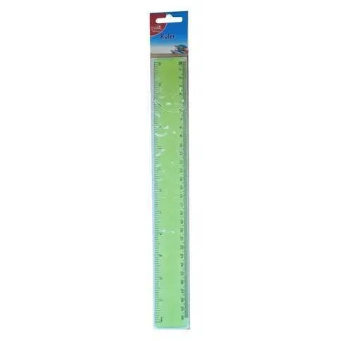 12 Inch Plastic Ruler (1)