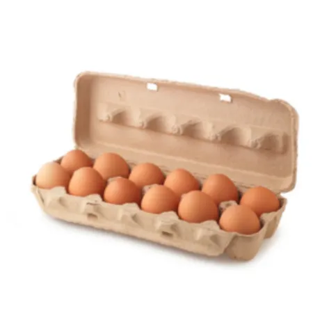 12-PACK  FREE RANGE LARGE EGGS