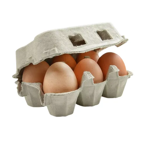 6-PACK FREE RANGE EGGS