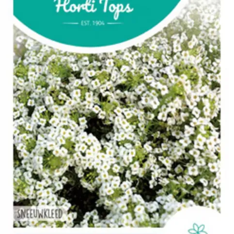 Alyssum Carpet Of Snow Seed Packet