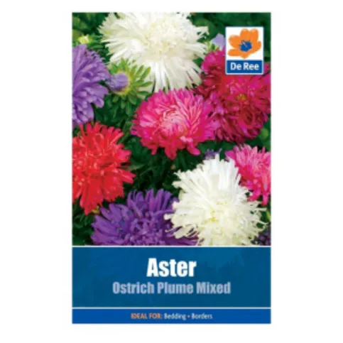 Aster Ostrich Plume Mixed Seed Packet