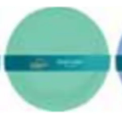 Bello Picnic Plates