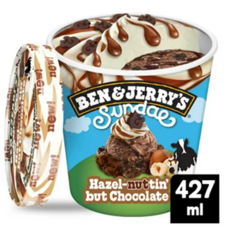 Ben And Jerrys Hazel-nuttin But Chocolate 427ml
