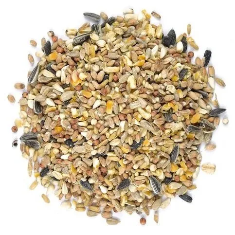 Bird Seed