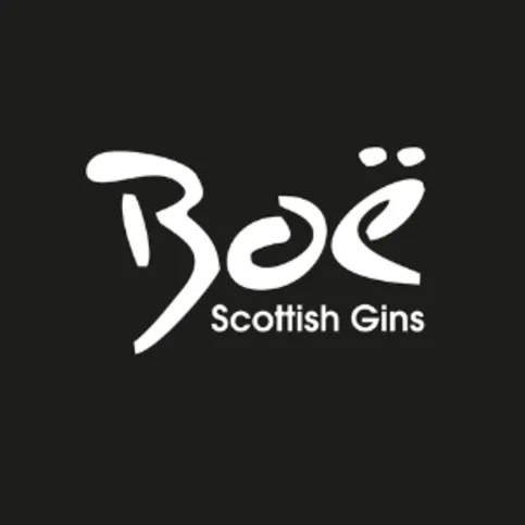 Boe Dark Fruits Vodka Can 250ml